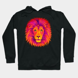 Colorful Lion Hoodie